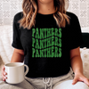 Panthers Graphic T (S - 3XL)